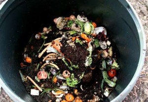 Compost-bin