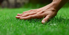 Turf management in courts, parks and hotels