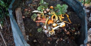 compost container