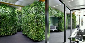 Green Living Walls