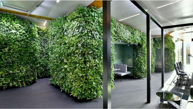 Green Living Walls