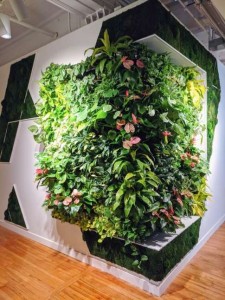 nextgen-living-wall-248 (1)